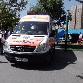 Hungarian emergency service